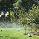 Green lawn sprinklers watering grass and trees in a garden