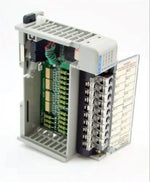 Industrial PLC module with terminal blocks and circuit board for automation systems