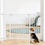White pet safety gate with beagle dog, ideal for home doorways and staircases