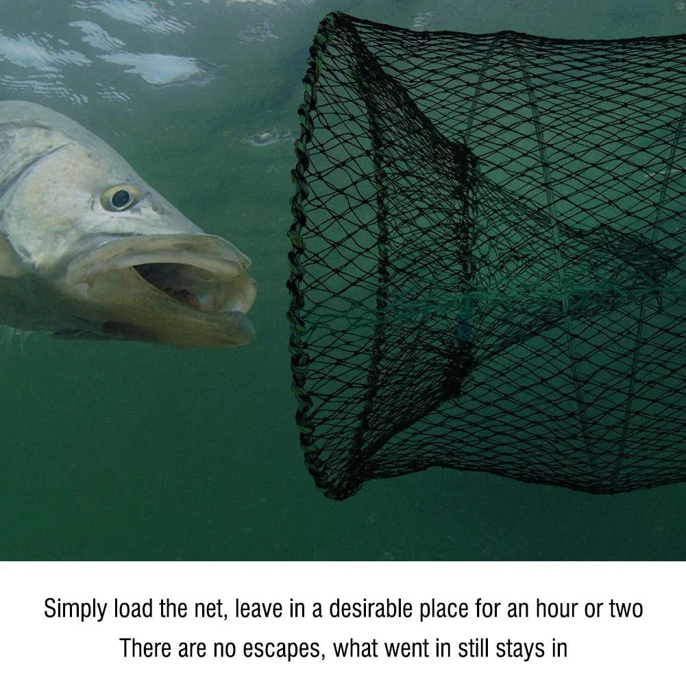 Fish near black mesh net underwater, no escape once caught