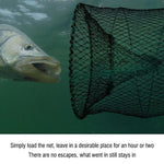Fish near black mesh net underwater, no escape once caught