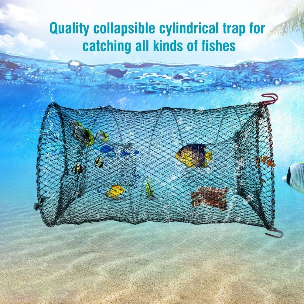 Collapsible cylindrical fish trap with colorful fish underwater, ideal for fishing