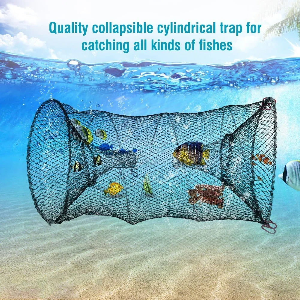 Collapsible cylindrical fish trap net underwater with colorful fish inside
