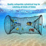 Collapsible cylindrical fish trap net underwater with colorful fish inside