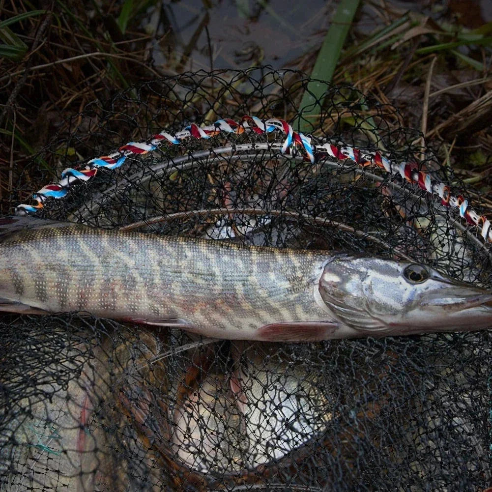 Freshly caught pike fish in black fishing net with colorful rope handle, resting on grassy bank