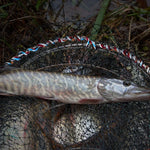 Freshly caught pike fish in black fishing net with colorful rope handle, resting on grassy bank