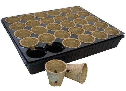 36 Pack 30 round Cells Tray Liner for 55mm Plastic, Jiffy Round Pots Propagation - Australian Empire Shop