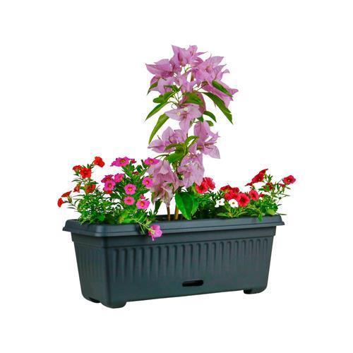 HomeLeisure 680mm Charcoal Rectangular WaterSaver Traditional Planter pot 34 L - Australian Empire Shop
