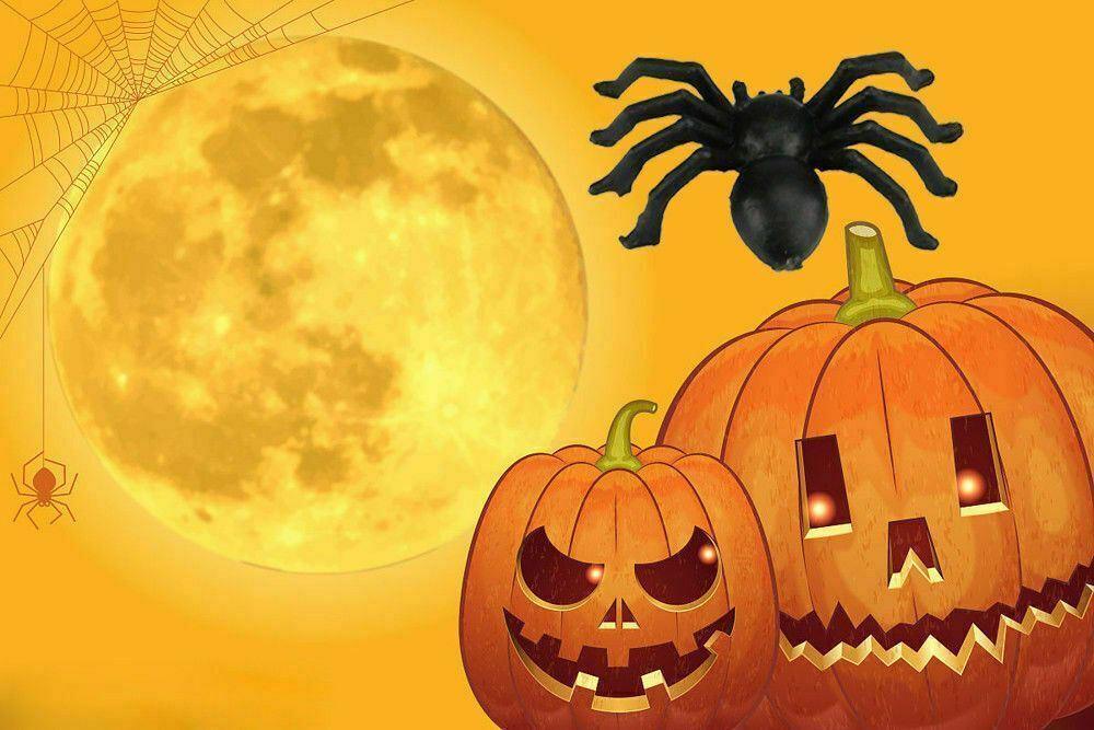 Spider Halloween 12X Black 7cm Spooky Party Favour Birthday Treat Bag ToysGames - Australian Empire Shop