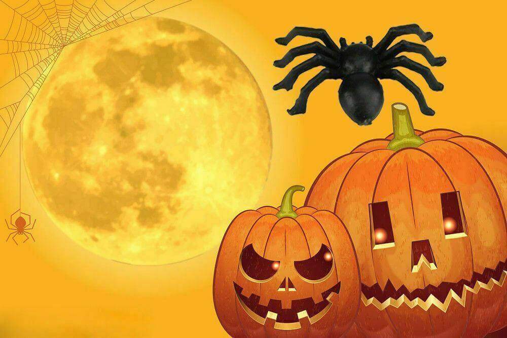 Spider Halloween 12X Black 7cm Spooky Party Favour Birthday Treat Bag ToysGames - Australian Empire Shop