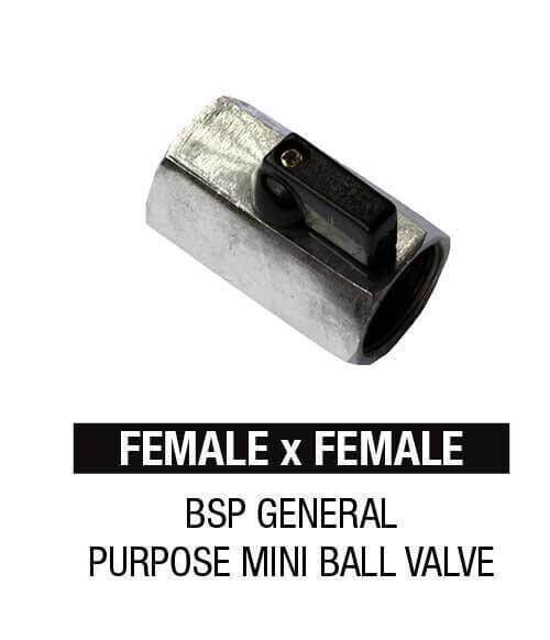 Female x Female BSP General Purpose Mini Ball Valve for industrial plumbing systems