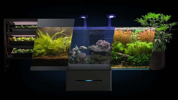 Modern aquarium with vibrant aquatic plants, coral, and fish under LED lighting, ideal for home or office decor