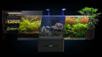 Modern aquarium with vibrant aquatic plants, coral, and fish under LED lighting, ideal for home or office decor