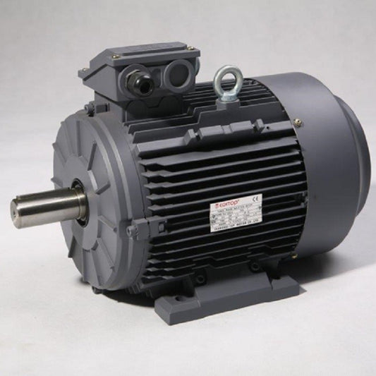 TECHTOP 5.5 kW High Efficiency Motor 4 Pole 132S Frame 1460 RPM  38mm Shaft