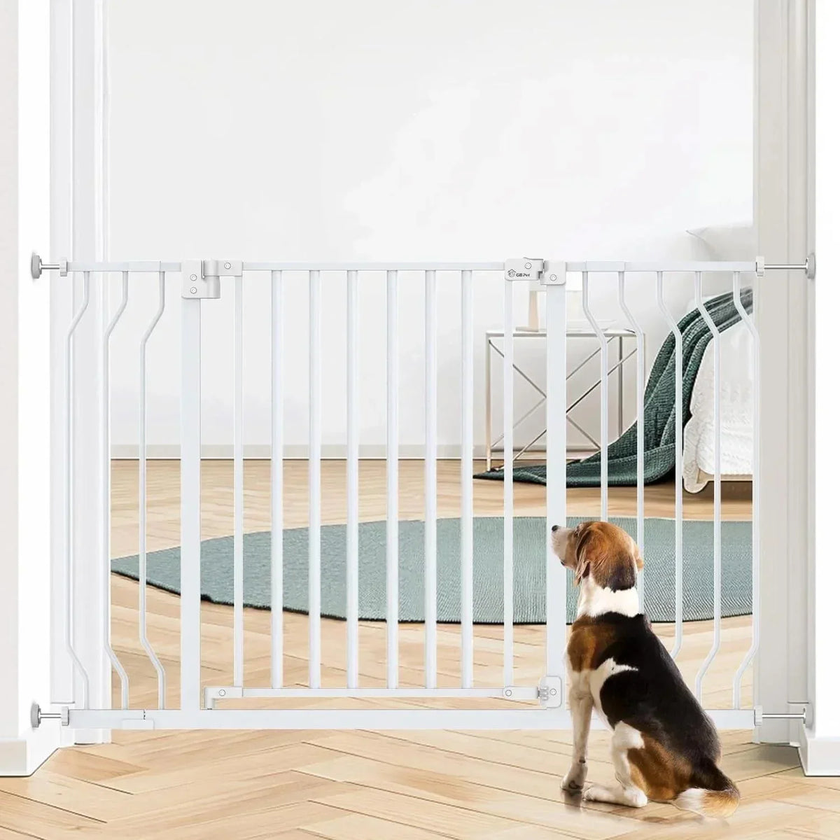 White pet safety gate with beagle dog, ideal for home doorways and staircases