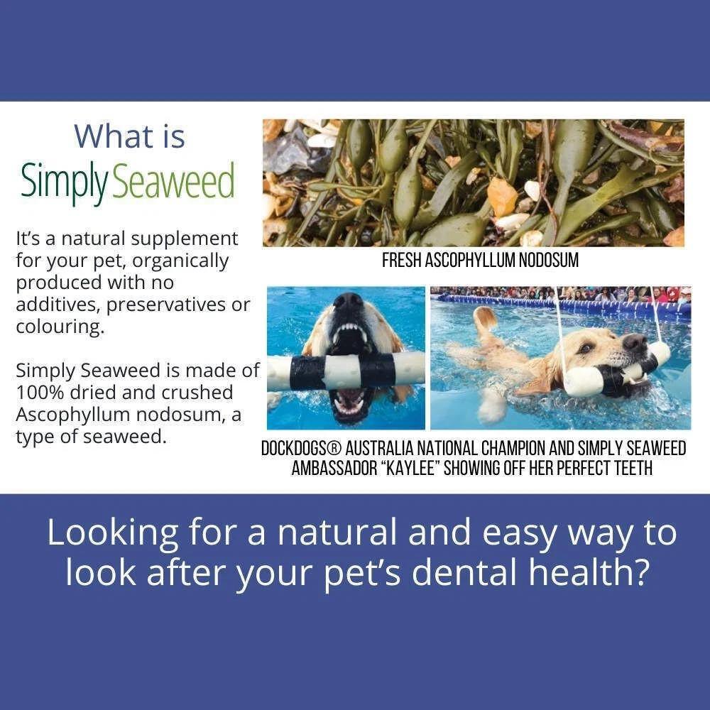 Simply Seaweed pet supplement made from Ascophyllum nodosum, natural dental health for dogs