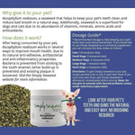 Simply Seaweed organic Ascophyllum nodosum dental supplement for dogs and cats, natural pet teeth cleaning