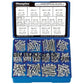 Champion Kit 415pcs Pan Head Phillips Self-Tapping Screws 304 Stainless Steel As