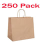 250x Detpak Large Twist Handle Bag Pack of 250 Food Bag Carry Bag - Australian Empire Shop