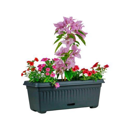 HomeLeisure 680mm Charcoal Rectangular WaterSaver Traditional Planter pot 34 L - Australian Empire Shop