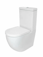 Raymore Winton Back To Wall Toilet Suite Standard Seat - Australian Empire Shop